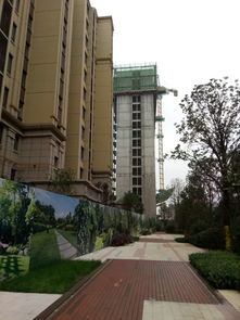 金辉上东区·金辉公园里项目房屋质量问题亟待解决